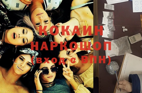 хмурый Алзамай