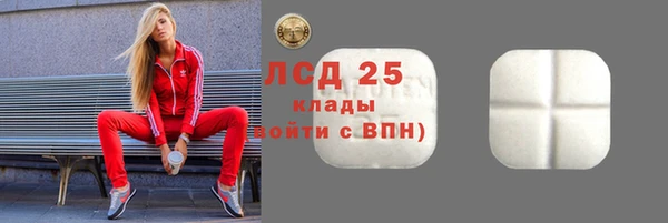 хмурый Алзамай