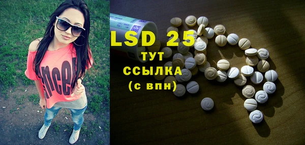 хмурый Алзамай