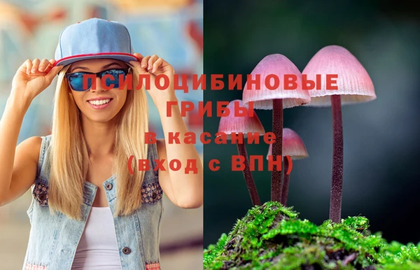 хмурый Алзамай